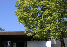 Ottmaring bei Augsburg